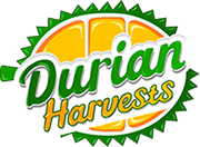 Durian Harvests